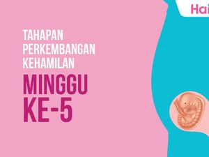 Tahapan Perkembangan Janin: Minggu ke-5