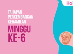 Tahapan Perkembangan Janin: Minggu ke-6