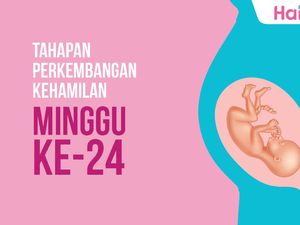 Tahapan Perkembangan Janin: Minggu ke-24