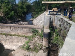 160 Ha Lahan Pertanian Bantul Terdampak Kerusakan Bendung Karang