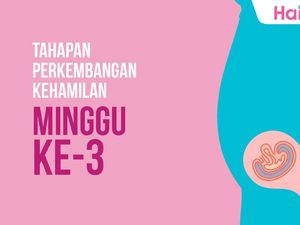 Tahapan Perkembangan Janin: Minggu ke-3