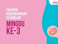 Tahapan Perkembangan Janin: Minggu ke-3