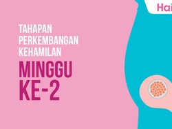 Tahapan Perkembangan Janin: Minggu ke-2