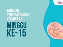 Tahapan Perkembangan Janin: Minggu ke-15