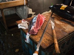 Ngeri! Potongan Daging Ikan Segar Ini Bergerak Walau Sudah Tak Ada Kepala