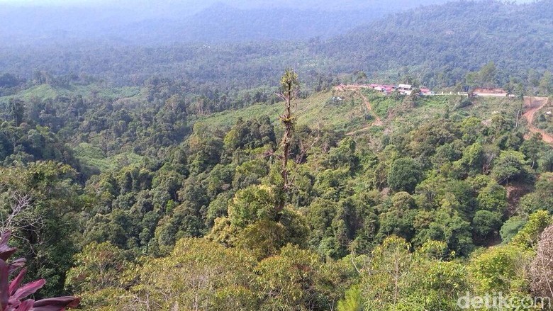 Foto: Panorama dari Gunung Salak di Lhokseumawe (Datuk Haris Molana/detikTravel)