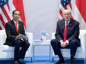 Jokowi Pilih Jamu Demi Stamina, Trump Minum Obat Malaria Tangkal Corona