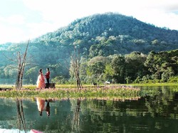 Penerjemah Mimpi Resepsi