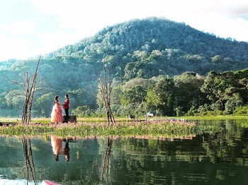 Penerjemah Mimpi Resepsi