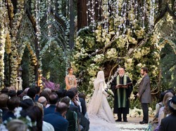 Bukan Pernikahan Biasa