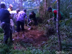 Ini Lokasi Perkebunan Tempat Koko Dikubur Penculik