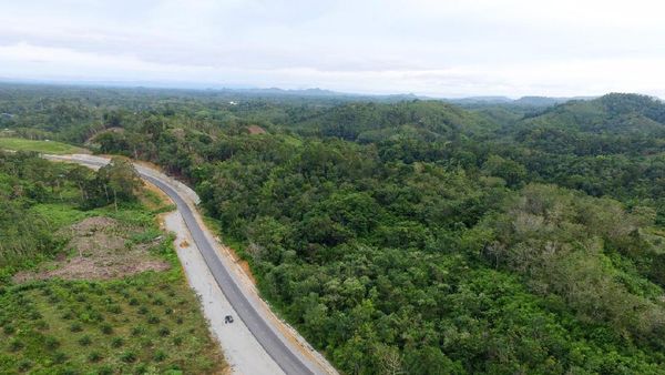 Melihat Cantiknya Jalan Menuju Entikong