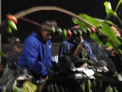 Mengikuti Ritual Warga Tengger Bromo