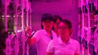 Mahasiswa Jadi Kelinci Percobaan Hidup di Planet Lain