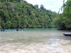 Bukan Cuma Danau Ubur-ubur, Pulau Kakaban Juga Punya Laguna Cantik