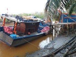 TNI AL Sita 20 Ton Bawang dan Pohon Bonsai Selundupan Asal Thailand