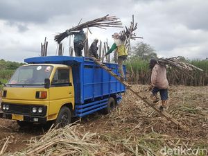 Petani Meradang Sembako Bakal Kena Pajak: Sudah Jatuh Tertimpa Tangga! Petani Meradang Sembako Bakal Kena Pajak: Sudah Jatuh Tertimpa Tangga!