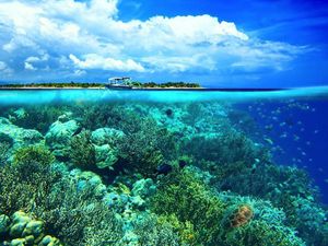 Wisman di Sulut Melonjak 449%