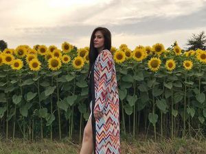 Kilauan Wulan Guritno di Antara Bunga Matahari