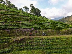 Naik Motor Sambil Bertualang ke Kaligua, Kenapa Tidak?