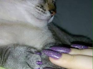 Tren Terkini di Instagram, Kucing Pakai Nail Art Kembaran dengan Majikan