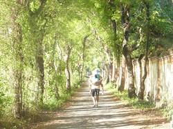 Menapaki indahnya pagi di Pemuteran