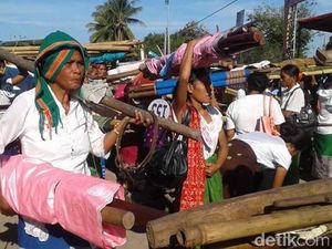 Masyarakat Sumba Bersiap Sambut Kedatangan Jokowi dengan Sukacita