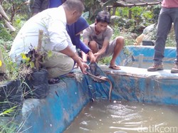 Kampus Kampung Sidat Banyumas Karena Dihidupi oleh Ikan Sidat