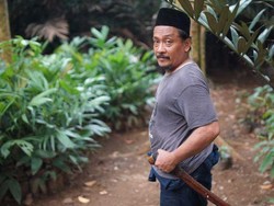 Inilah Kebun Salak Terakhir di Jakarta