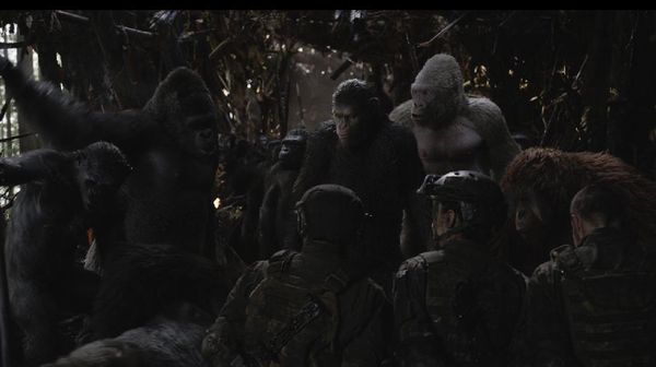 Intip Pembuatan War For The Planet of The Apes