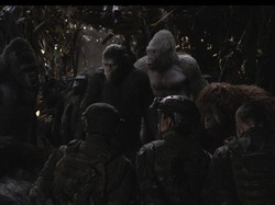 Film Pilihan Pekan Ini