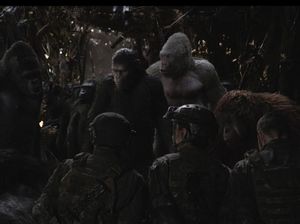 Film Pilihan Pekan Ini Film Pilihan Pekan Ini