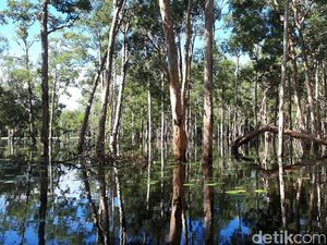 Bukan Cuma Markas Avengers, Ini 6 Objek Wisata di Merauke