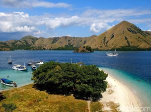 Pesona Pantai Maluk, Surga Tersembunyi di Sumbawa Barat Pesona Pantai Maluk, Surga Tersembunyi di Sumbawa Barat
