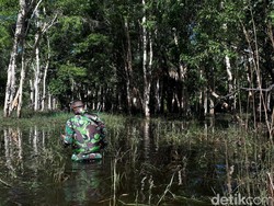 Bacalah Anak Muda, Pesan Bijak dari Tentara Perbatasan