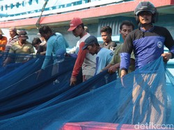 KKP Pastikan Mulai 2018 Tak Boleh Tangkap Ikan Pakai Cantrang