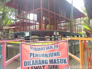 Polisi Setop Kasus Siamang Serang Balita di Blitar Polisi Setop Kasus Siamang Serang Balita di Blitar