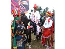 Kebanggaan Pemuda Sumba yang Kudanya Dijadikan Kado untuk Jokowi