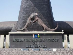 Ternyata Komodo Juga Ada di Jakarta