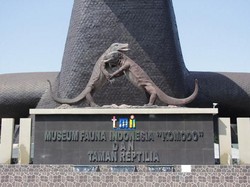 Ternyata Komodo Juga Ada di Jakarta