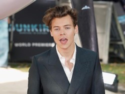 Ketika Pangeran Harry Bertemu dengan Harry Styles