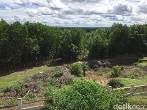 Mengintip Lokasi Calon Ibu Kota RI Seluas 300.000 Ha