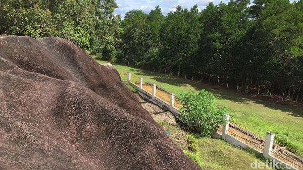Foto: Ssst...! Ini Dia Lokasi Calon Ibu Kota RI