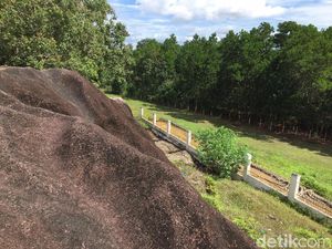 Foto: Ssst...! Ini Dia Lokasi Calon Ibu Kota RI
