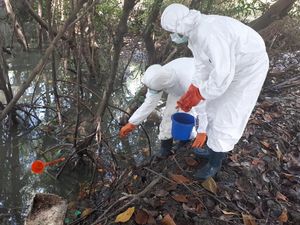 Ditemukan Banyak Ikan Mati di Saluran Air Tempat Limbah Dibuang Ditemukan Banyak Ikan Mati di Saluran Air Tempat Limbah Dibuang