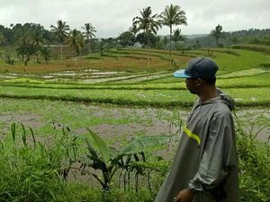 Menantang dan Cantik, Ini Bocoran Trek Ijen Green Run 2017