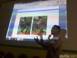 Harimau Sumatera Ditemukan Mati Tanpa Taring dan Kumis di Sumut