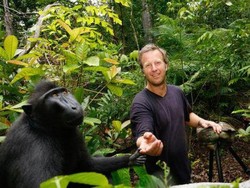 Cerita di Balik Hebohnya Monyet Selfie di Sulawesi