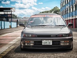 Honda Maestro 1992 JDM Addick