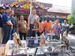 Perdagangan Satwa Liar di Kabupaten Malang Dibongkar Polisi